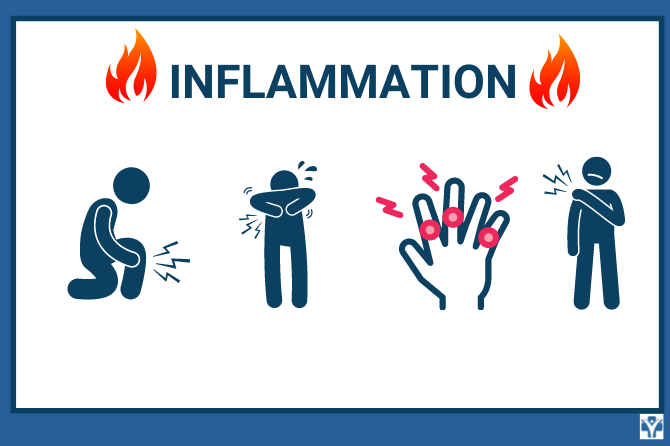   What Are The Markers of Inflammation?