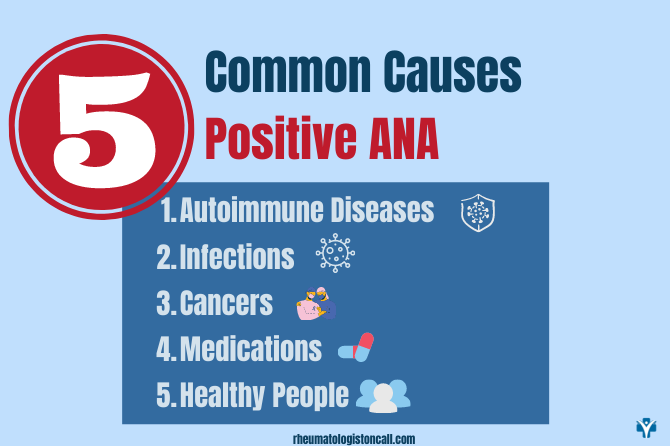 positive-ana-what-are-the-common-5-causes-for-a-positive-ana-test