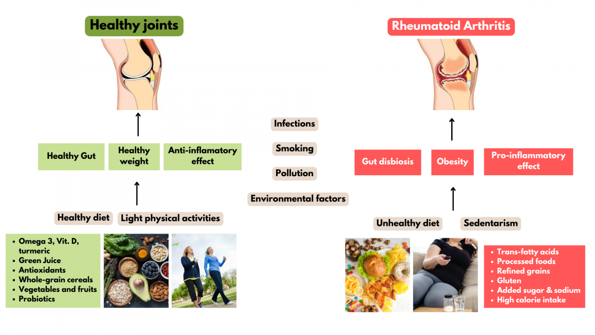 Lifestyle Pyramid Needed for Patients with Rheumatoid Arthritis