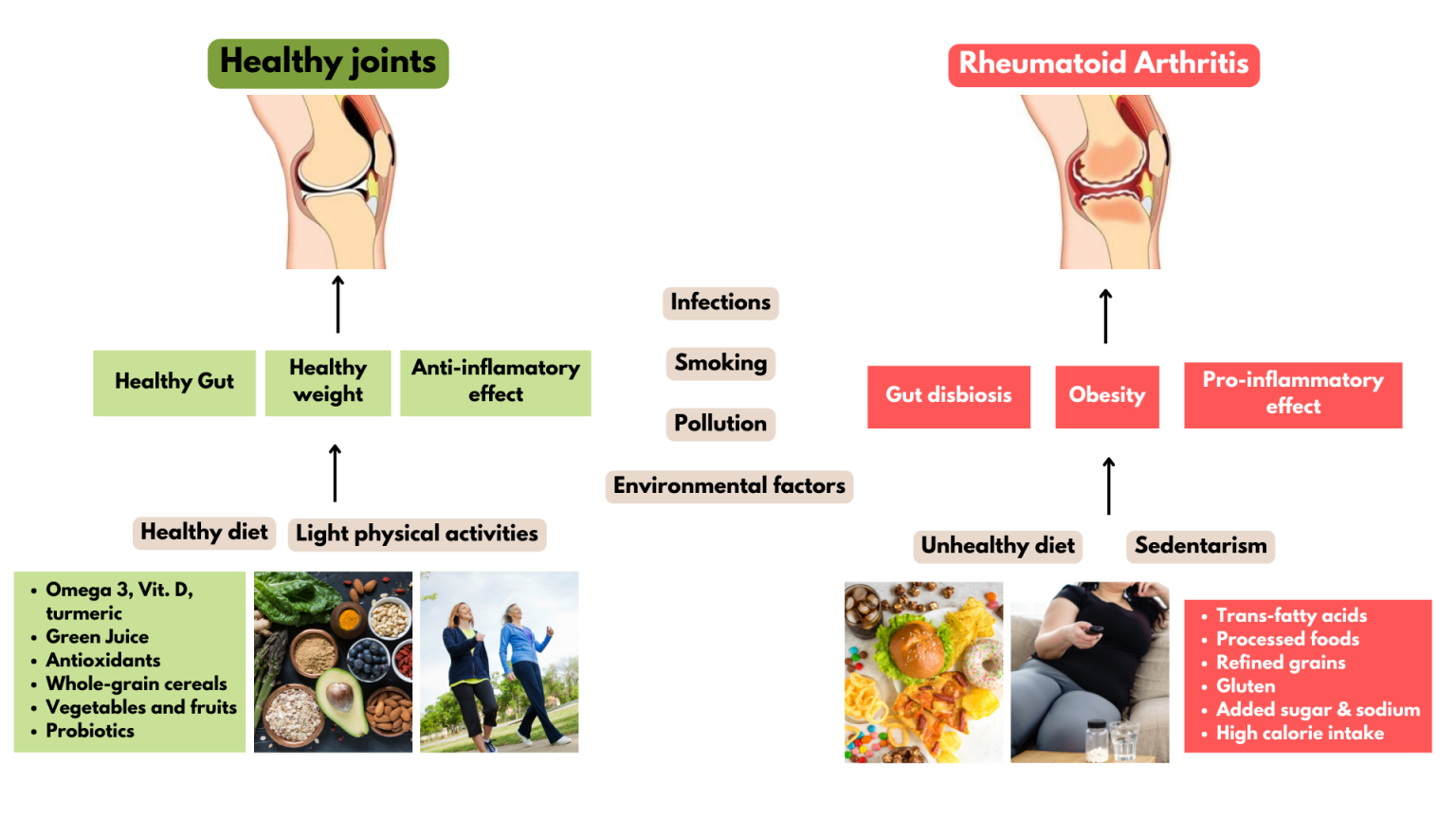 Lifestyle Pyramid Needed for Patients with Rheumatoid Arthritis