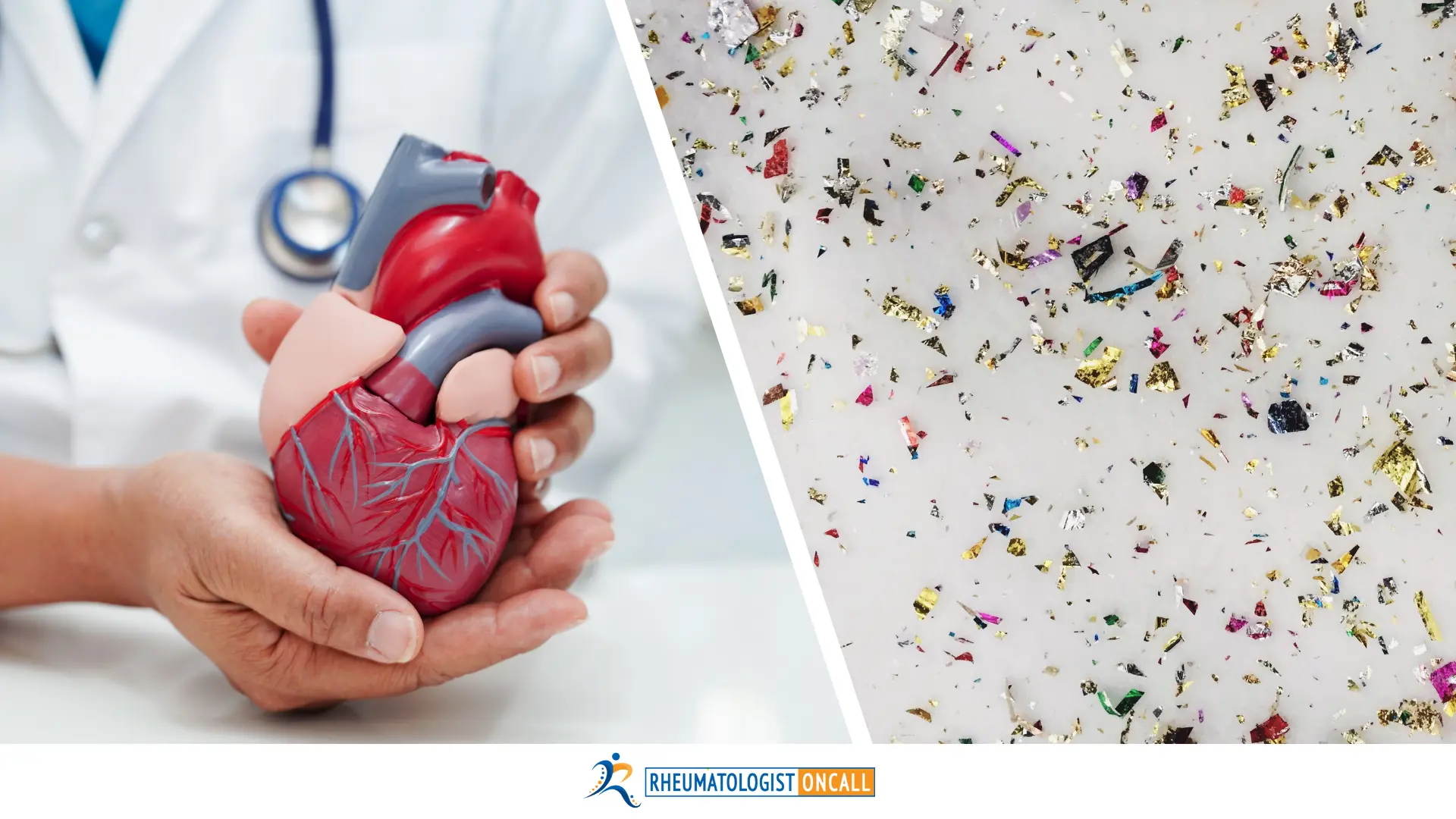 Microplastics and Heart Disease: A Deeper Look