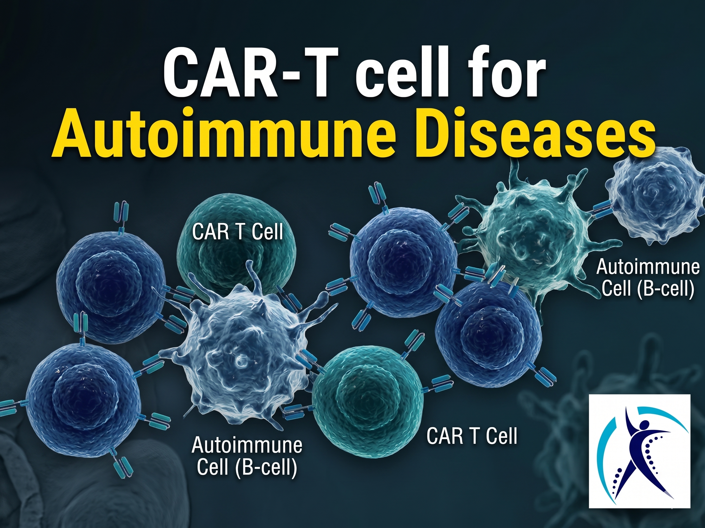 CAR-T cell therapy for autoimmune disease